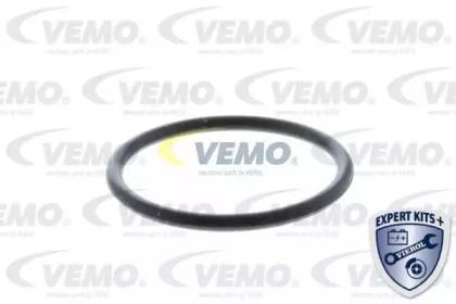 vemo v159919831