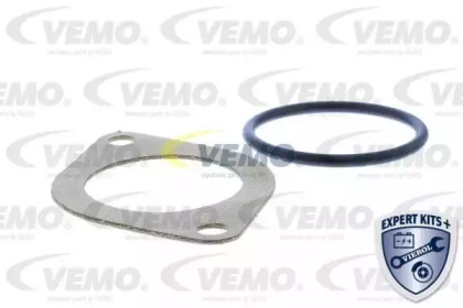 vemo v159919872
