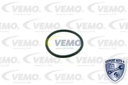 vemo v15992019