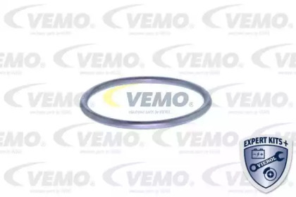 vemo v15992022