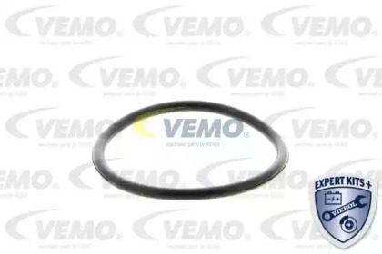 vemo v15992024