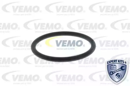 vemo v15992063