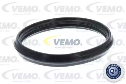 vemo v15992098