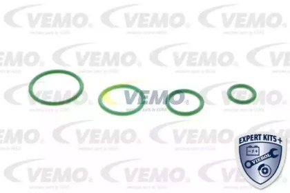 vemo v20770013