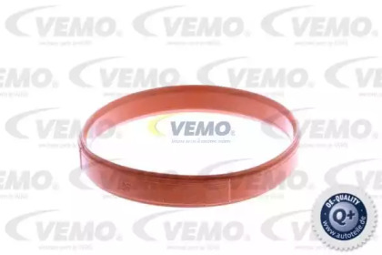 vemo v20810014