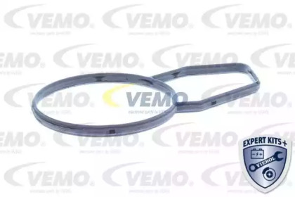 vemo v20991258