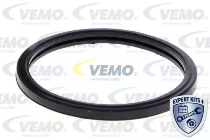 vemo v20991281