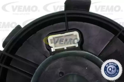 vemo v22031824