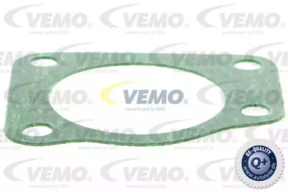 vemo v24810001