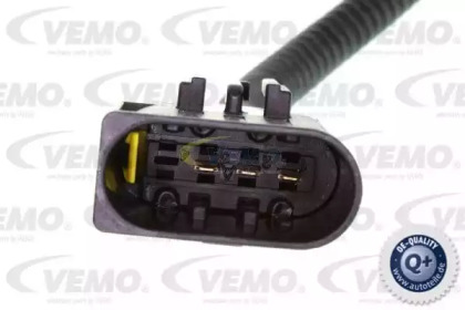 vemo v24810002