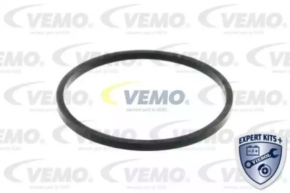 vemo v24990003