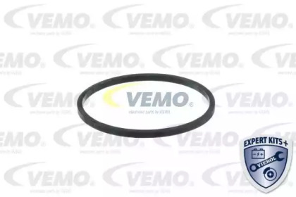 vemo v24990004