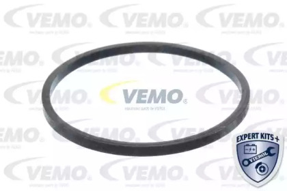 vemo v24990006