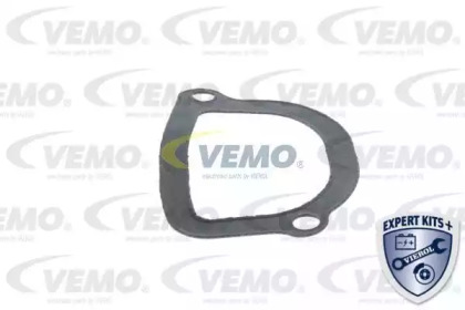 vemo v24990013