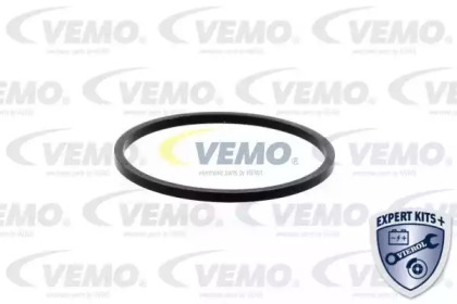vemo v24990017