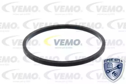 vemo v24990029