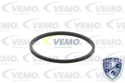 vemo v24990044