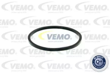 vemo v24990047