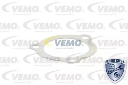 vemo v24991261