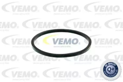 vemo v24991262