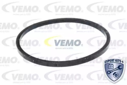 vemo v24991263