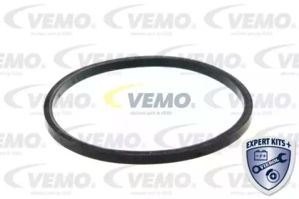 vemo v24991265