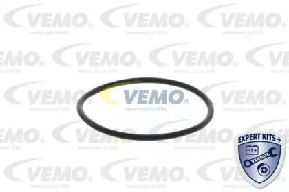 vemo v24991268