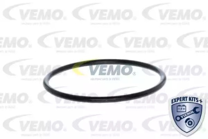 vemo v309901081
