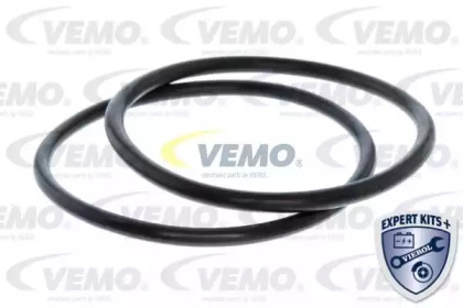 vemo v309903941