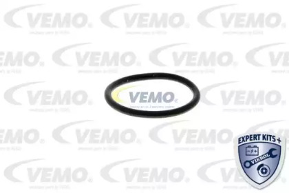 vemo v406300241