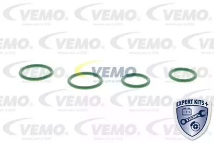 vemo v41770001