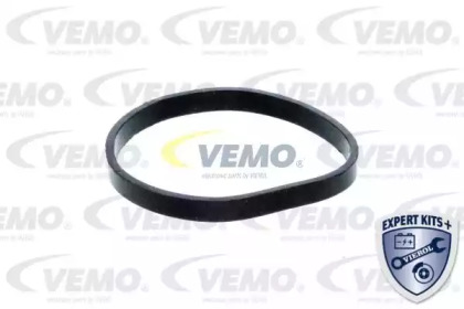 vemo v46991363