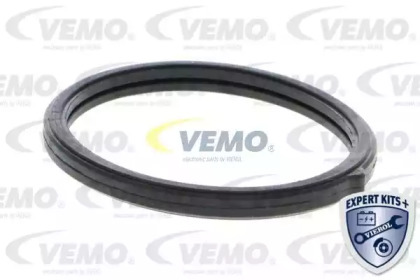 vemo v53990002