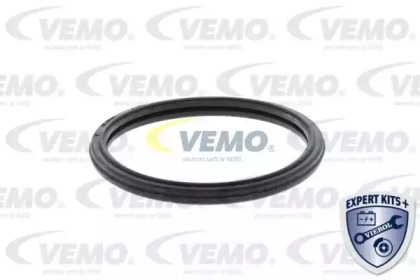 vemo v64990009