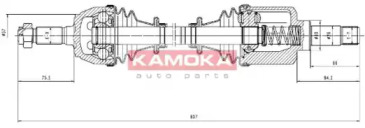 KAMOKA CT1138952