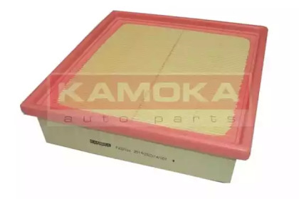 KAMOKA F222101