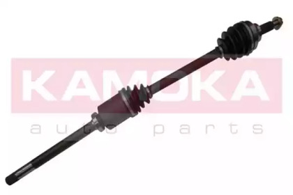 KAMOKA RN1138950A