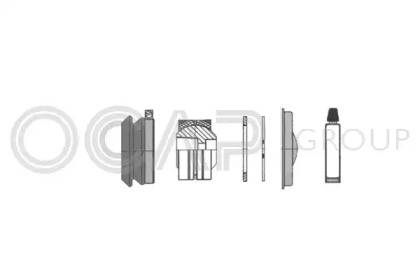 OCAP 0907762
