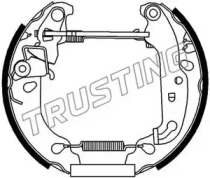 TRUSTING 6205