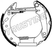 TRUSTING 6287