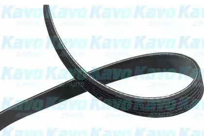 KAVO PARTS DMV-1018