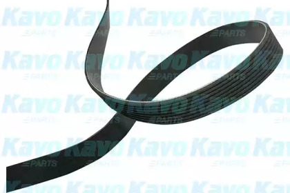 KAVO PARTS DMV-4545