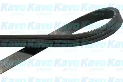 KAVO PARTS DMV-6549