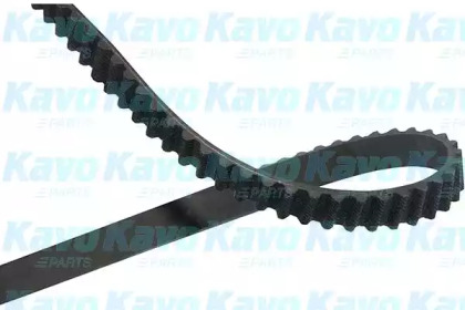 KAVO PARTS DTB-1011