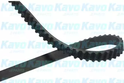 KAVO PARTS DTB-5552