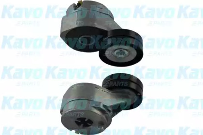 KAVO PARTS DTP-2005