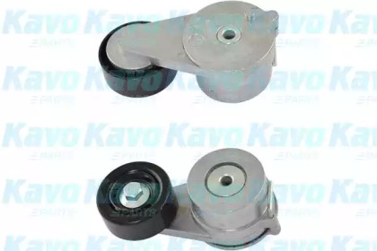 KAVO PARTS DTP-3019