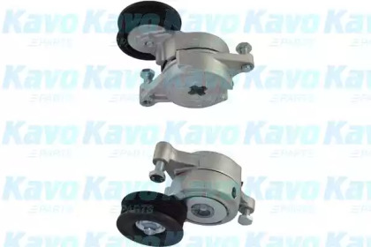 KAVO PARTS DTP-4536