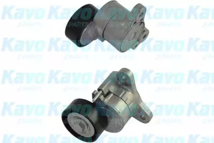 KAVO PARTS DTP-5515