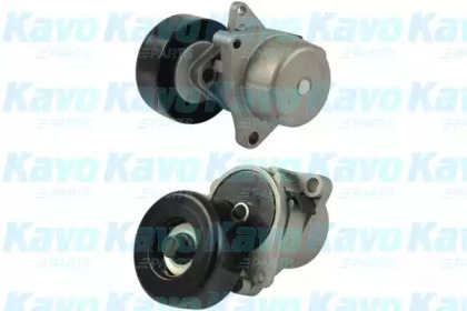 KAVO PARTS DTP-6548